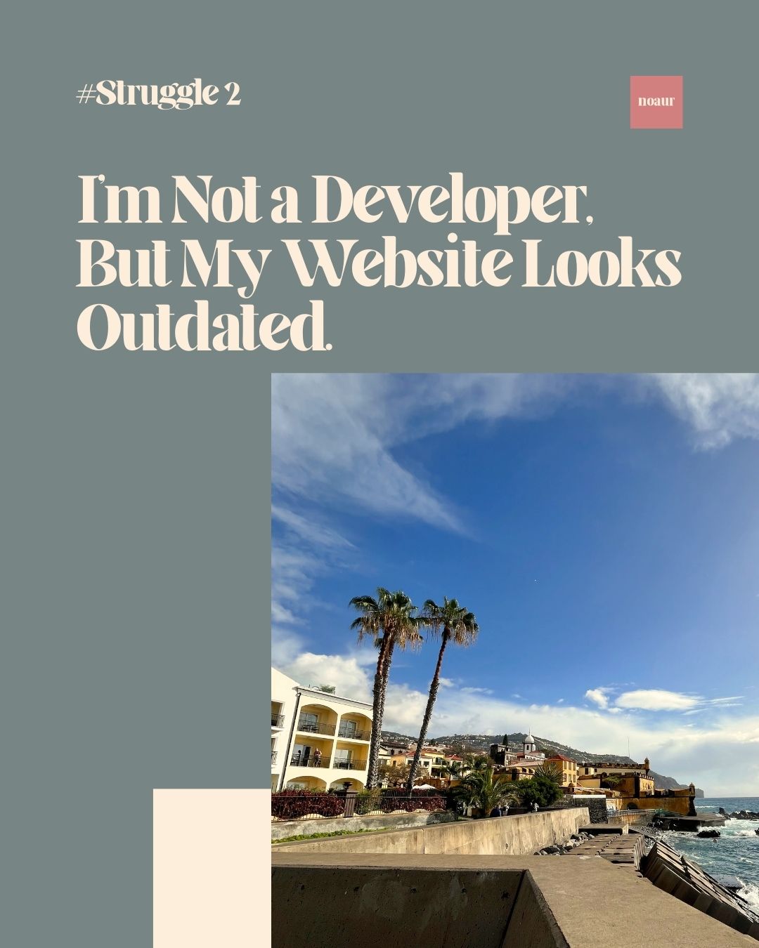 Image contains a quote: "I'm not a developer, but my website looks outdated".